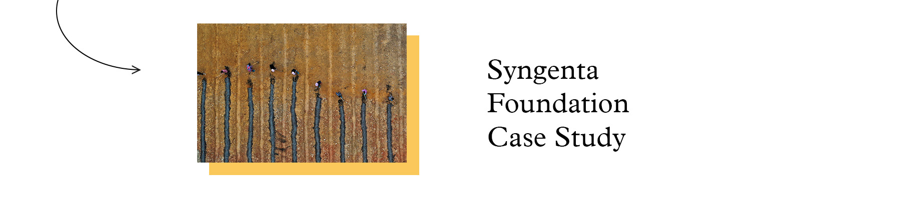 Strategic Alignment Case Study - Syngenta Foundation