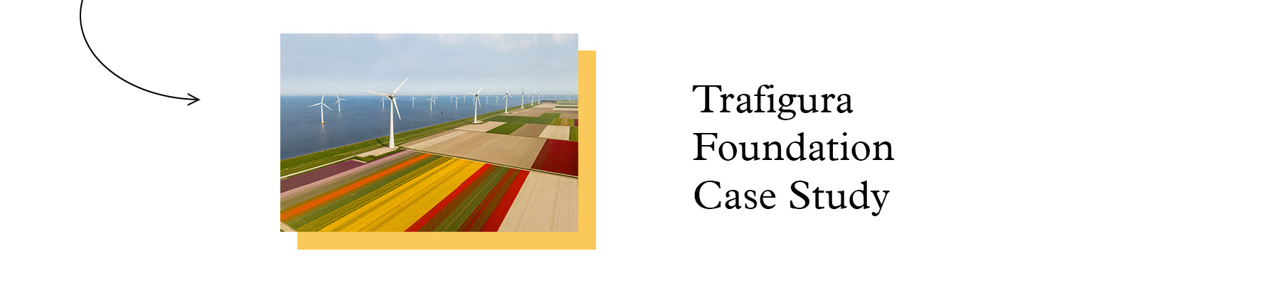 Strategic Alignment Case Study - Trafigura Foundation