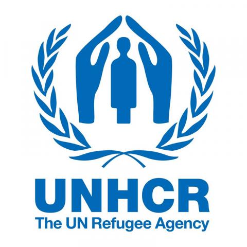 UN Refugee Agency (UNHCR)