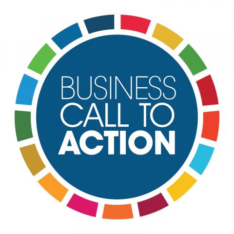 UNDP Business Call to Action