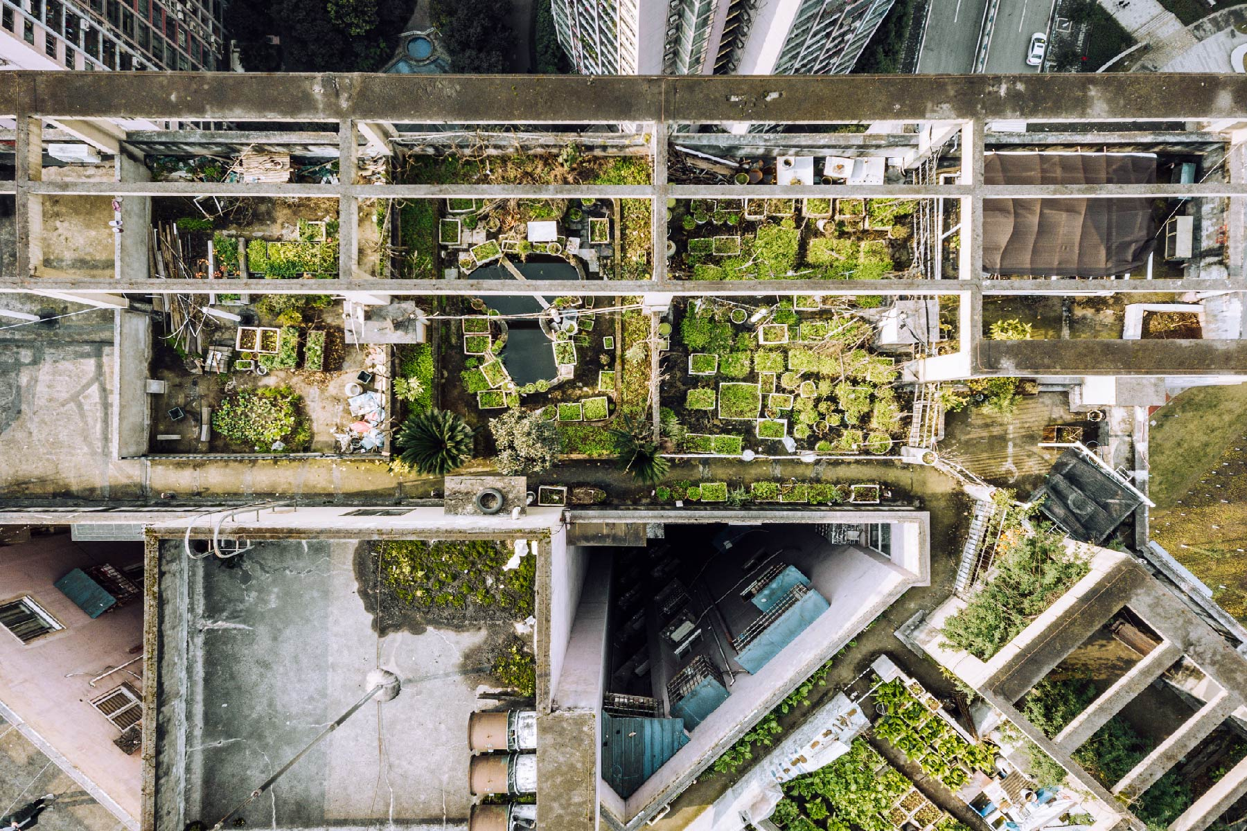 Aerial perspective on roof gardens